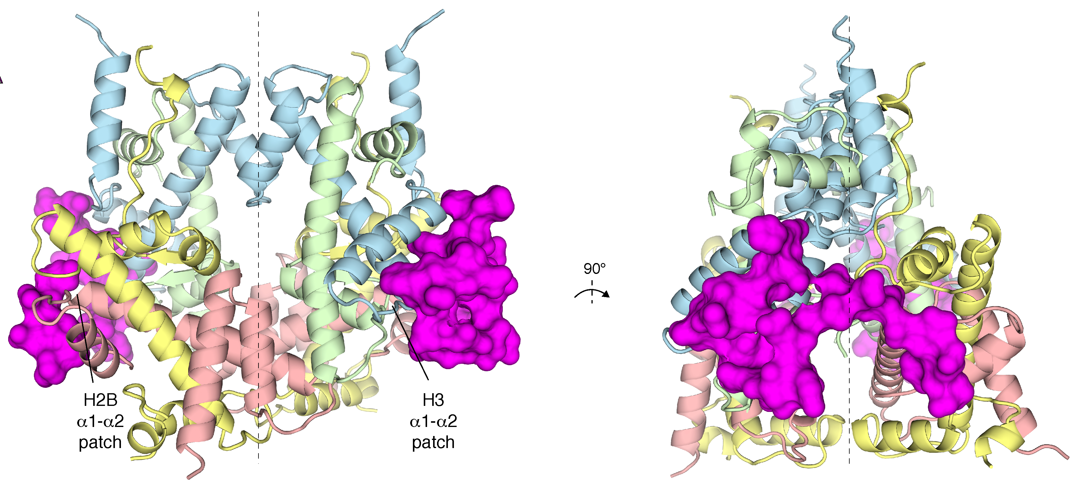 van Ingen lab and collaborators discover a new way to assemble chromatin cover image