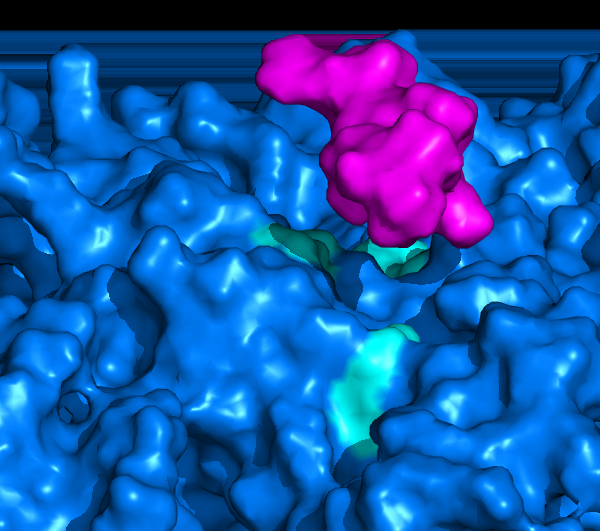 (S)pinning down nucleosome-protein interactions cover image